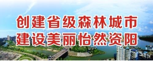 插我舒服调教啊啊在线观看创建省级森林城市 建设美丽怡然资阳